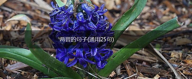 两晋的句子(通用25句),第1张