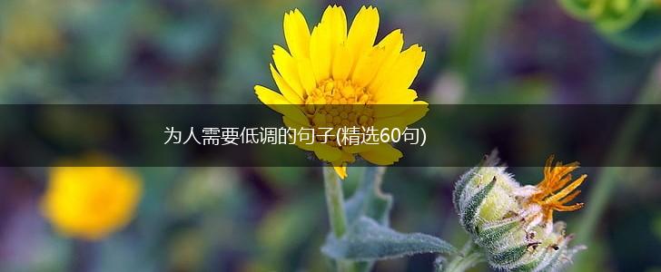 为人需要低调的句子(精选60句),第1张