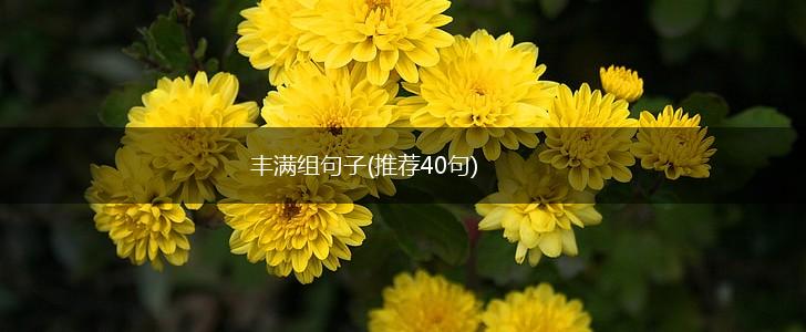 丰满组句子(推荐40句),第1张