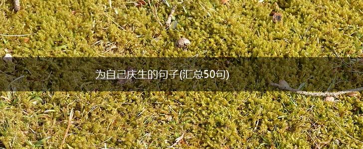 为自己庆生的句子(汇总50句),第1张