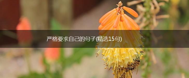 严格要求自己的句子(精选15句),第1张