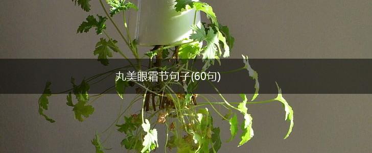 丸美眼霜节句子(60句),第1张