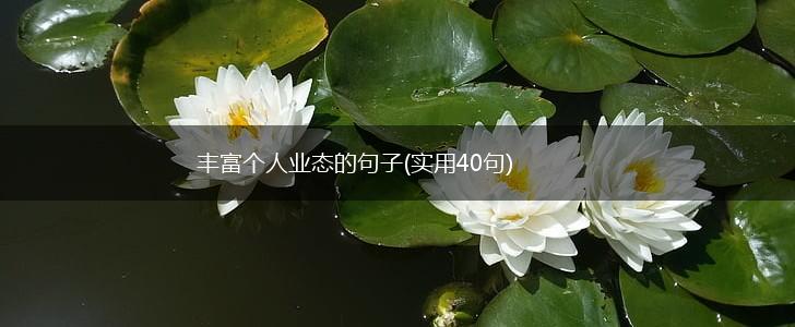 丰富个人业态的句子(实用40句),第1张 丰富个人业态的句子(实用40句),第1张