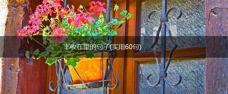 丰收在望的句子(实用60句),第1张