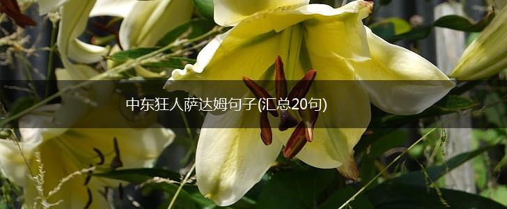 中东狂人萨达姆句子(汇总20句),第1张