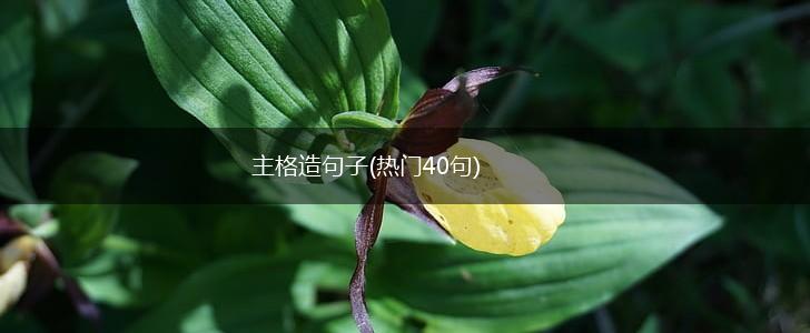 主格造句子(热门40句),第1张