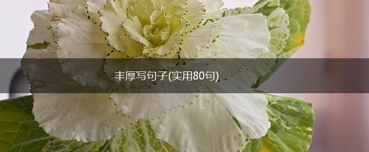 丰厚写句子(实用80句),第1张