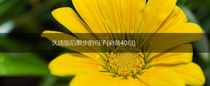 久违饭后散步的句子(必备40句),第1张