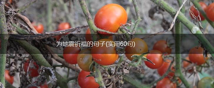为地震祈福的句子(实用60句),第1张