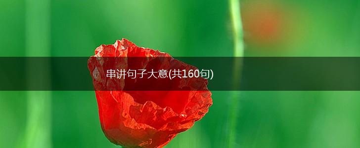 串讲句子大意(共160句),第1张