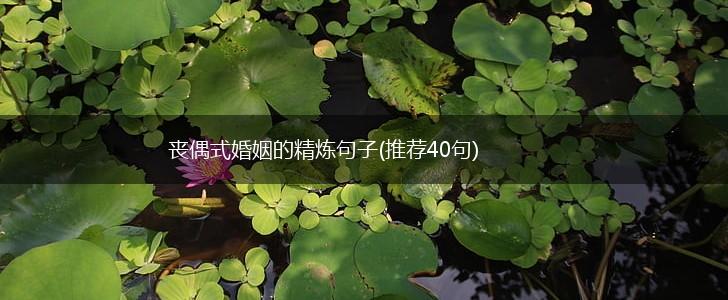 丧偶式婚姻的精炼句子(推荐40句),第1张