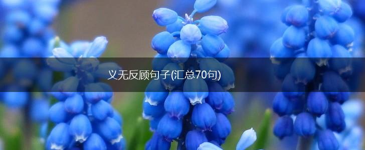 义无反顾句子(汇总70句),第1张