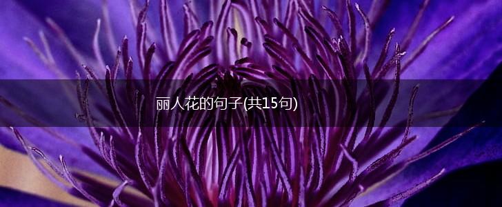 丽人花的句子(共15句),第1张