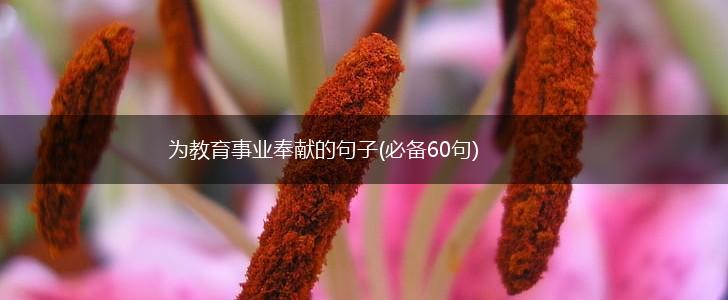 为教育事业奉献的句子(必备60句),第1张
