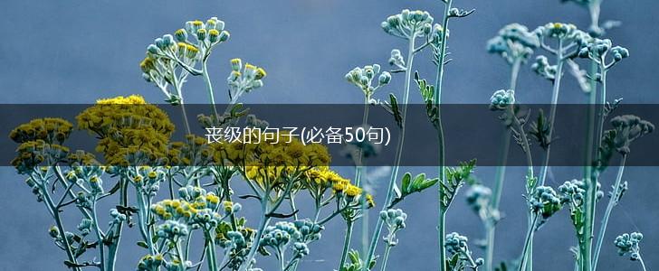 丧级的句子(必备50句),第1张