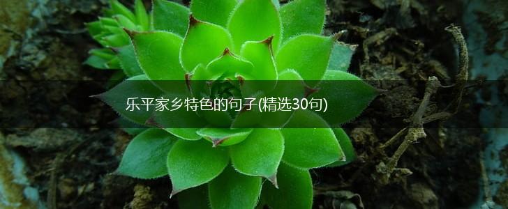 乐平家乡特色的句子(精选30句),第1张