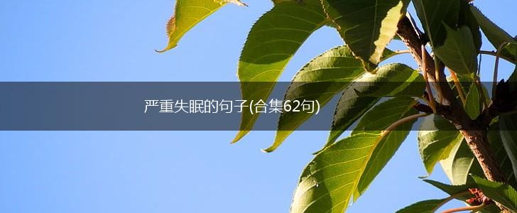 严重失眠的句子(合集62句),第1张
