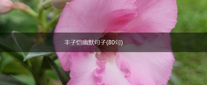 丰子恺幽默句子(80句),第1张
