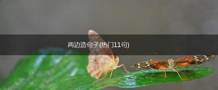 两边造句子(热门11句),第1张