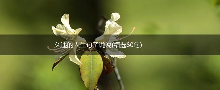久违的人生句子说说(精选60句),第1张
