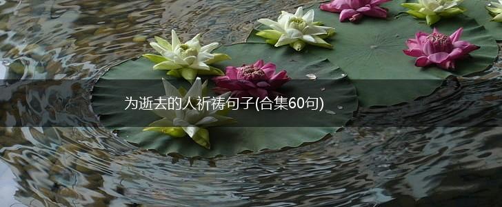 为逝去的人祈祷句子(合集60句),第1张