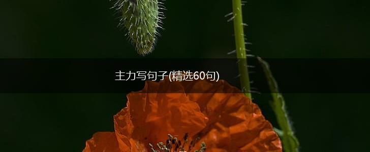 主力写句子(精选60句),第1张