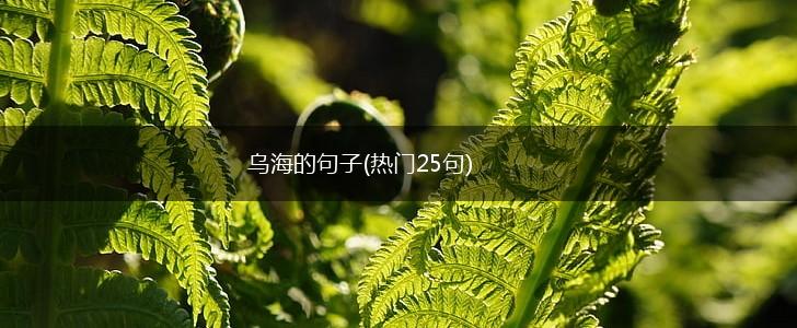 乌海的句子(热门25句),第1张