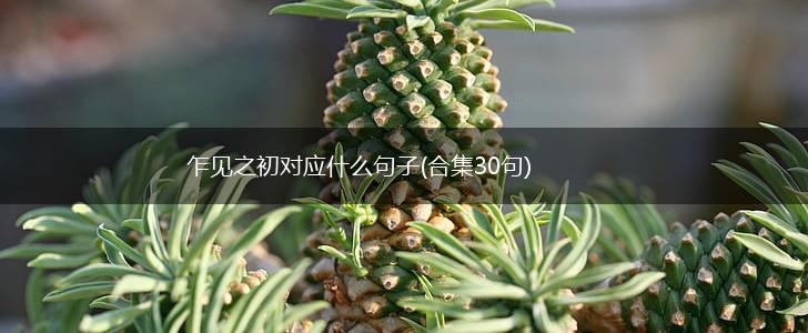 乍见之初对应什么句子(合集30句),第1张