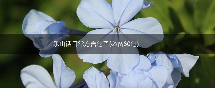 乐山话日常方言句子(必备60句),第1张
