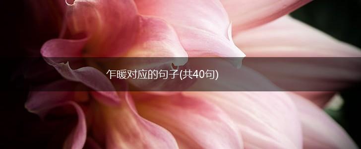 乍暖对应的句子(共40句),第1张