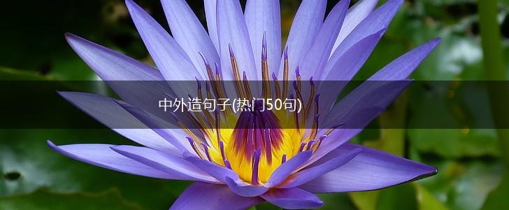 中外造句子(热门50句),第1张