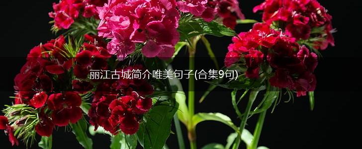 丽江古城简介唯美句子(合集9句),第1张