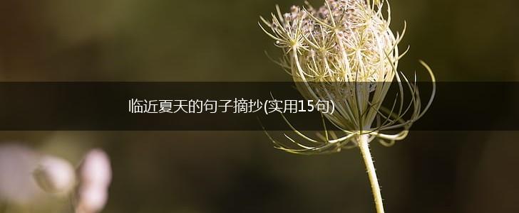 临近夏天的句子摘抄(实用15句),第1张