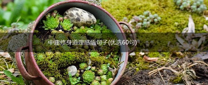 中庸修身道理感悟句子(优选60句),第1张