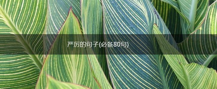 严厉的句子(必备80句),第1张