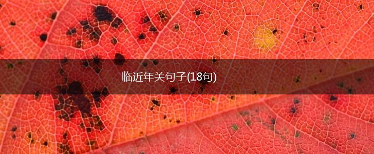 临近年关句子(18句),第1张