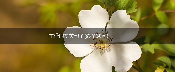 丰盛的赞美句子(必备30句),第1张
