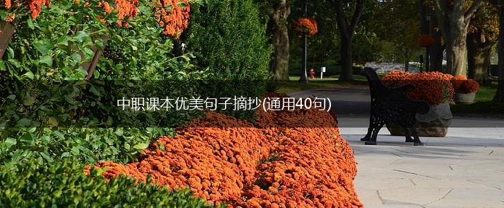 中职课本优美句子摘抄(通用40句),第1张