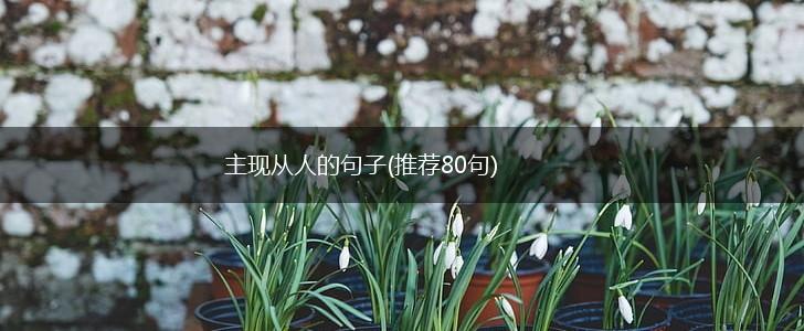 主现从人的句子(推荐80句),第1张