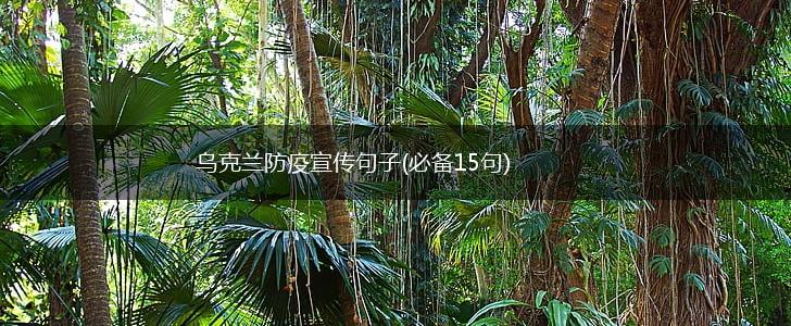 乌克兰防疫宣传句子(必备15句),第1张