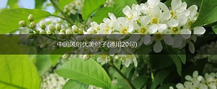 中国风俗优美句子(通用20句),第1张