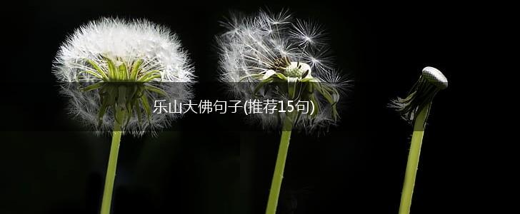 乐山大佛句子(推荐15句),第1张