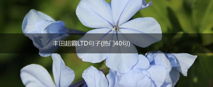 丰田超霸LTD句子(热门40句),第1张