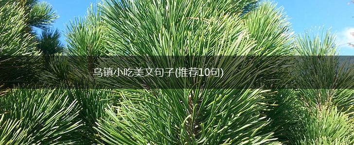 乌镇小吃美文句子(推荐10句),第1张