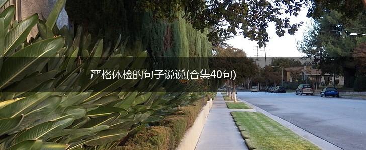 严格体检的句子说说(合集40句),第1张