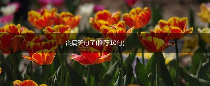 丧搞笑句子(推荐10句),第1张