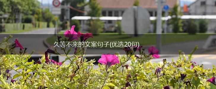久等不来的文案句子(优选20句),第1张