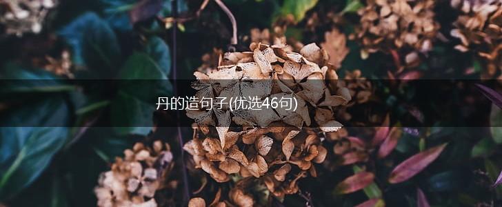 丹的造句子(优选46句),第1张