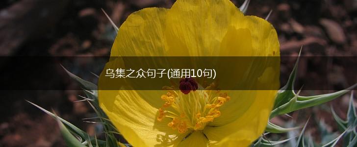 乌集之众句子(通用10句),第1张