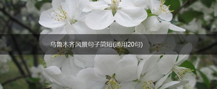 乌鲁木齐风景句子简短(通用20句),第1张